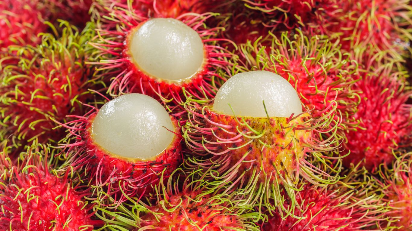 Rambutan